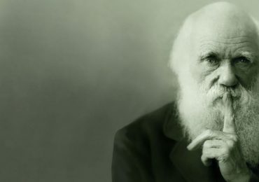 დარვინიზმი, ანუ სტარტაპების ევოლუცია