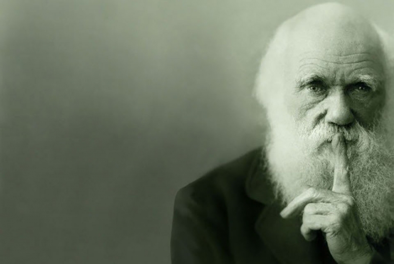 დარვინიზმი, ანუ სტარტაპების ევოლუცია