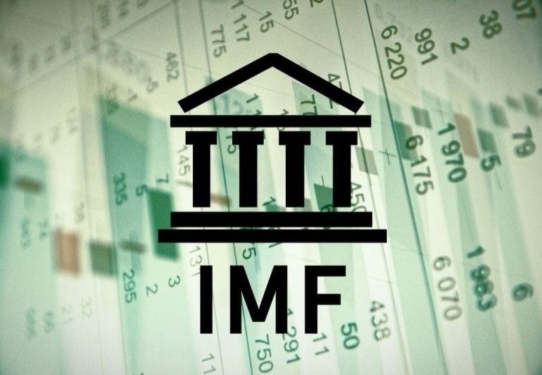 IMF: საქართველოს მთავრობა უმუშევრად დარჩენილებს თვეში 150 ლარს გადაუხდის