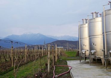 Georgian wine export grows