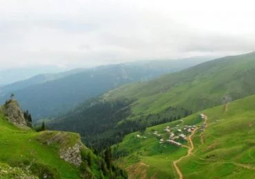 საგადასახადო შეღავათები მაღალმთიანი რეგიონებისთვის