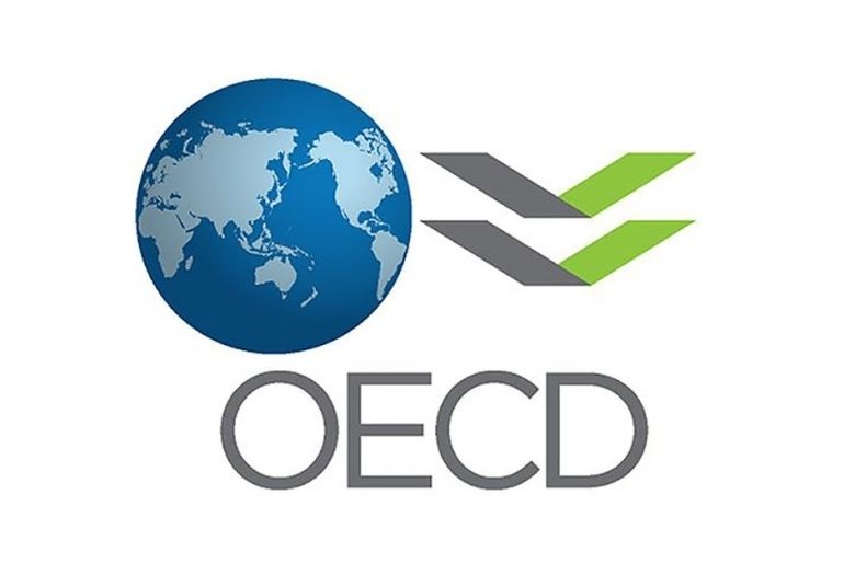 OECD назвал Грузию успешной страной в плане поддержки малого и среднего бизнеса