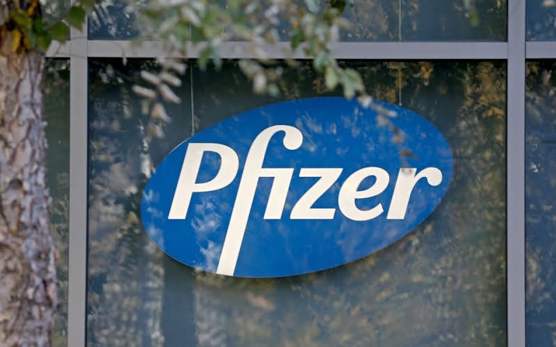 როგორ გამდიდრდა კომპანია “Pfizer“?