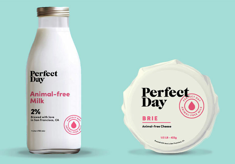 კალიფორნიული კომპანია რძის პროდუქტებს ცხოველური რძის გარეშე აწარმოებს