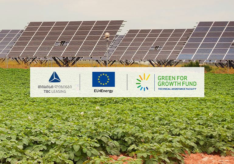 მცირემასშტაბიანი მწვანე ინიციატივა: მზის პანელების სისტემების ხელშეწყობა საქართველოში 