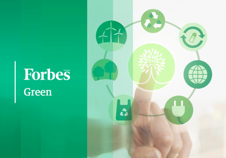 Forbes Green: გასული კვირის მნიშვნელოვანი „მწვანე სიახლეები“