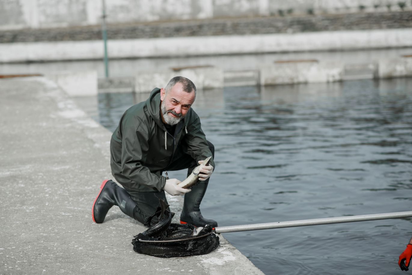 Georgian Fish and Caviar - Malkhaz Shubalidze Sums Up a Decade • Forbes  Georgia