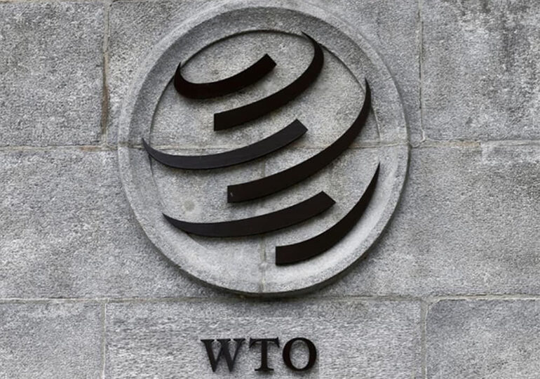 WTO: უკრაინაში მიმდინარე ომი გლობალური ვაჭრობის ზრდას გაანახევრებს