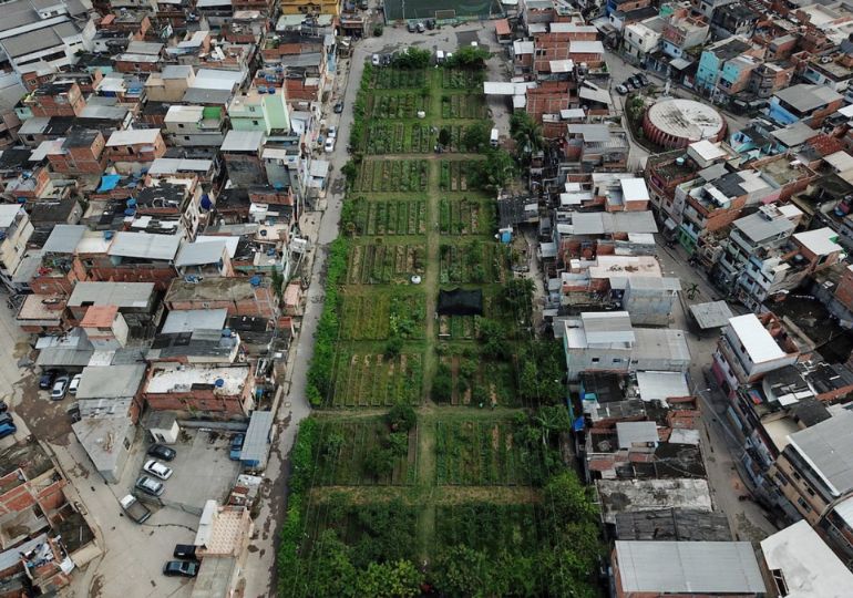 ბრაზილიაში მსოფლიოში უდიდესი ურბანული ბაღი გაშენდება