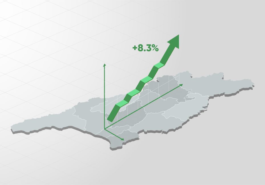 ოქტომბერში საქართველოს ეკონომიკა 8.3%-ით გაიზარდა