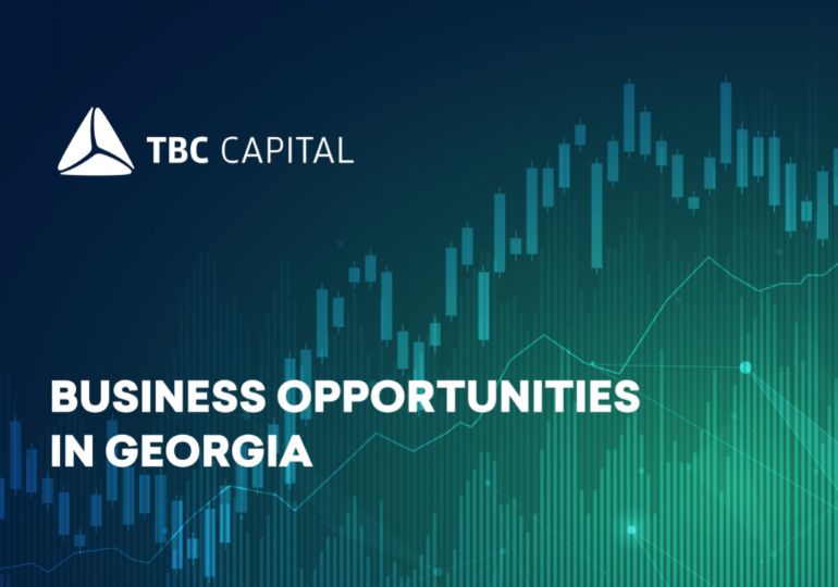 Business Opportunities in Georgia