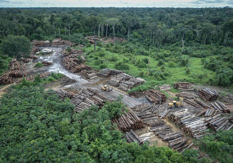 ბრაზილიის პრეზიდენტმა 2030 წლისთვის ტყეების გაჩეხის დასრულების გეგმა წარადგინა