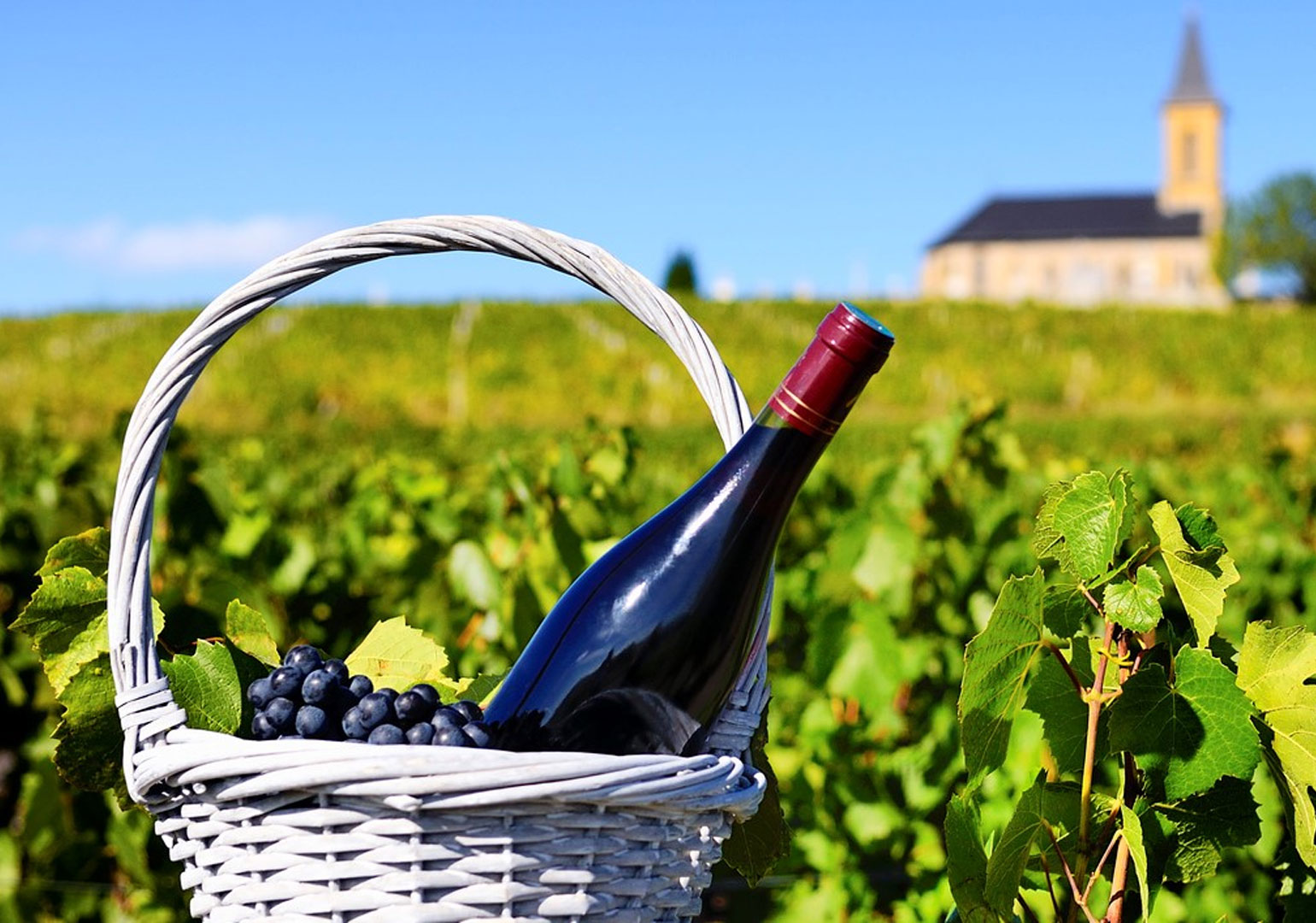 მოთხოვნის კლების გამო, საფრანგეთს ღვინის ჭარბი მარაგის განადგურება €200 მილიონი დაუჯდება