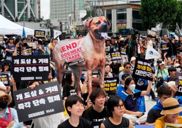 სამხრეთ კორეამ ძაღლის ხორცის მოხმარების ამკრძალავი კანონპროექტი მიიღო