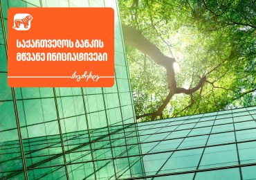 როგორია საქართველოს ბანკის მწვანე ინიციატივები?