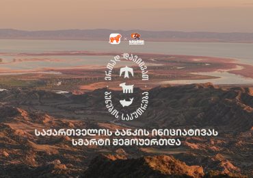 ერთად დავიცვათ ბუნების საკუთარება - საქართველოს ბანკისა და CFN-ის კამპანიას „სმარტი“ შეუერთდა