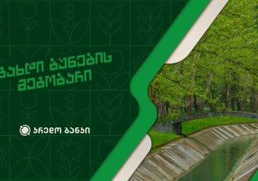„მწვანე ანაბრის“ პროექტის ფარგლებში კრედო ბანკმა წყალტუბოს პარკის დასუფთავების ღონისძიება ჩაატარა
