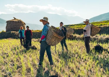 ქვეყნები, სადაც ყველაზე მეტს მუშაობენ