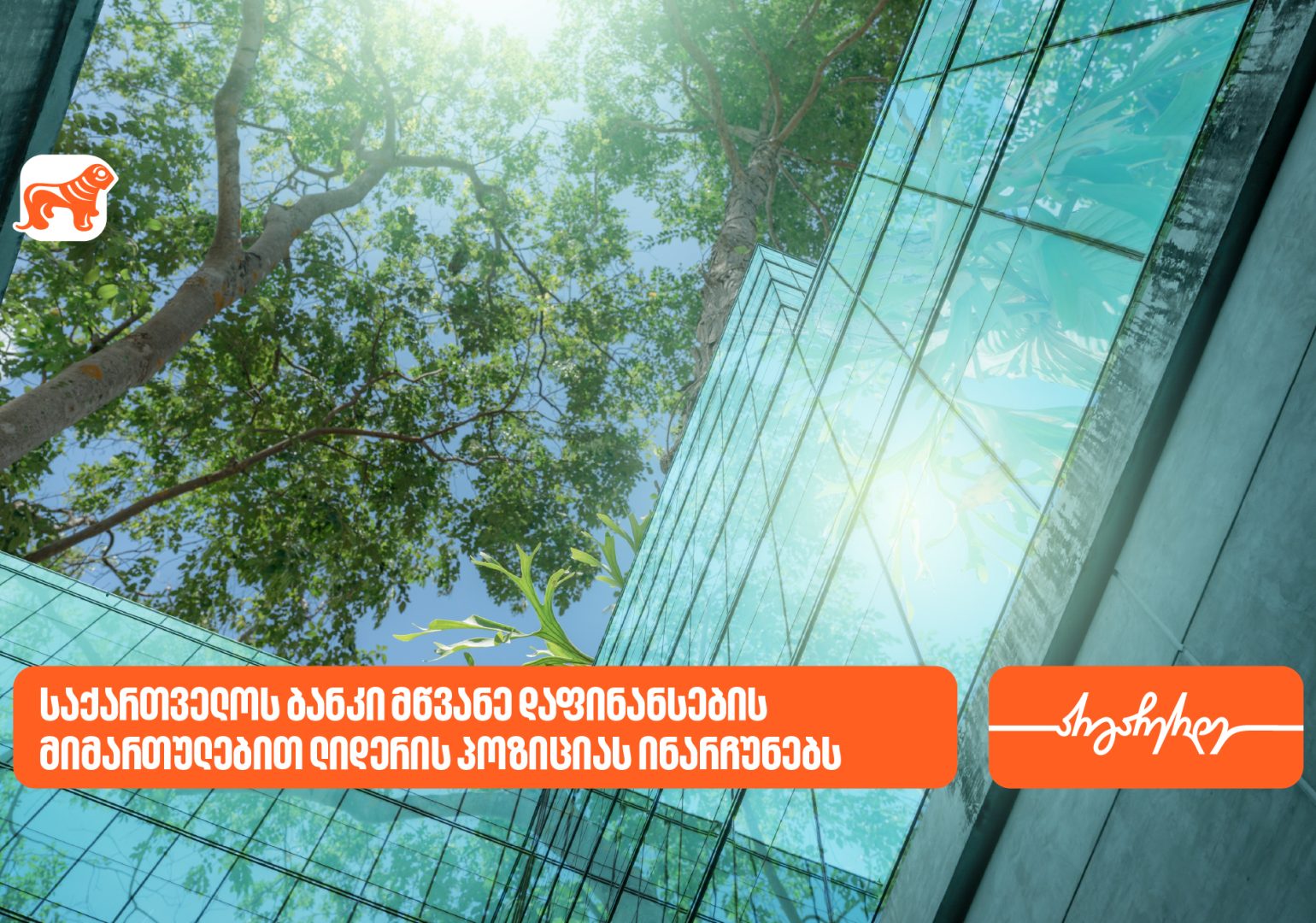 ეროვნული ბანკი: საქართველოს ბანკი მწვანე დაფინანსების მიმართულებით ლიდერის პოზიციას ინარჩუნებს