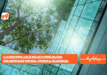 ეროვნული ბანკი: საქართველოს ბანკი მწვანე დაფინანსების მიმართულებით ლიდერის პოზიციას ინარჩუნებს