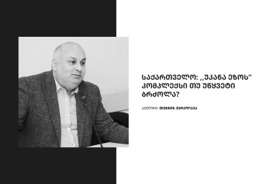 საქართველო: „უკანა ეზოს“ კომპლექსი თუ უწყვეტი ბრძოლა?