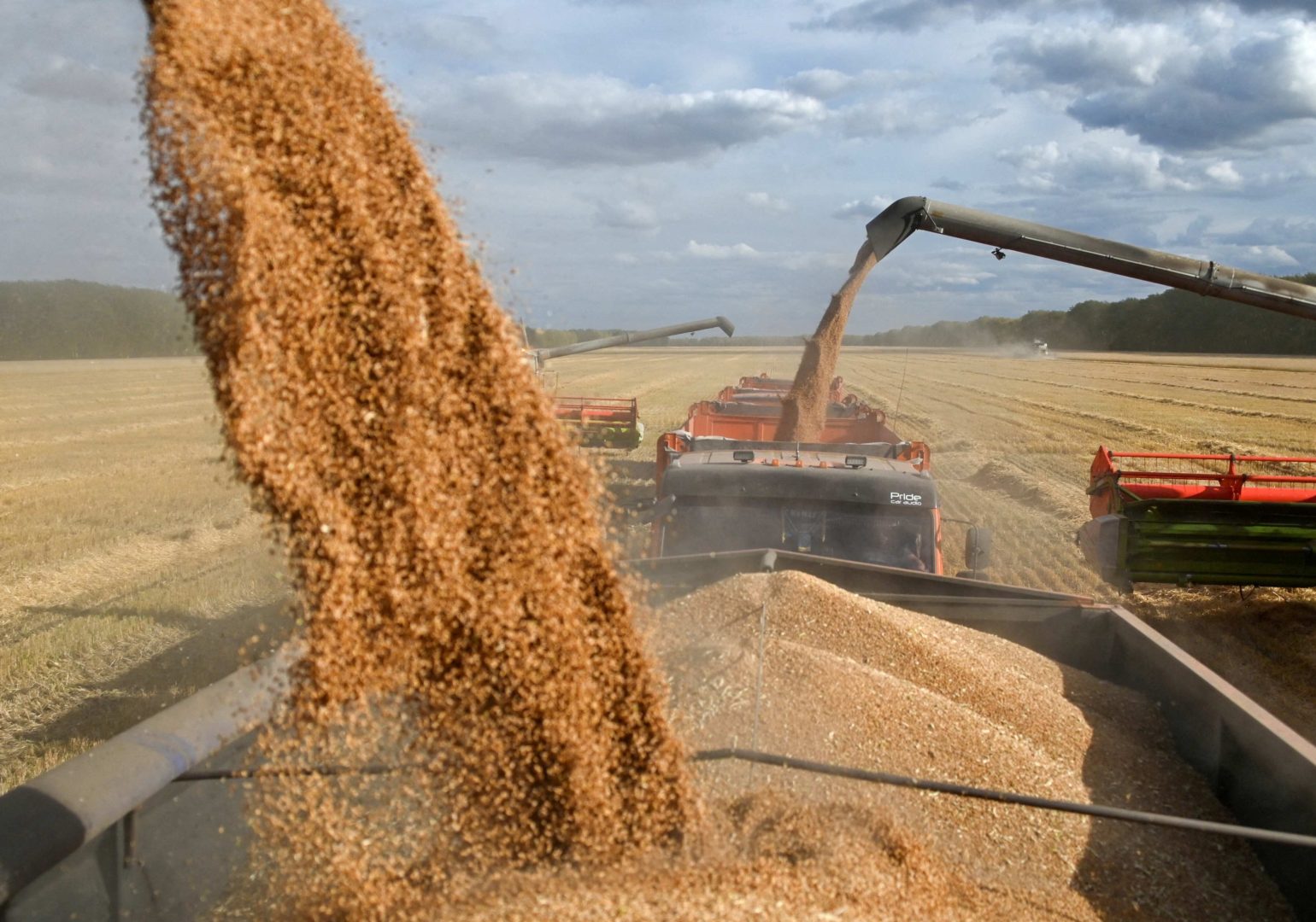 რომელი მცენარეული კულტურები მოჰყავთ მსოფლიოში ყველაზე დიდი რაოდენობით?