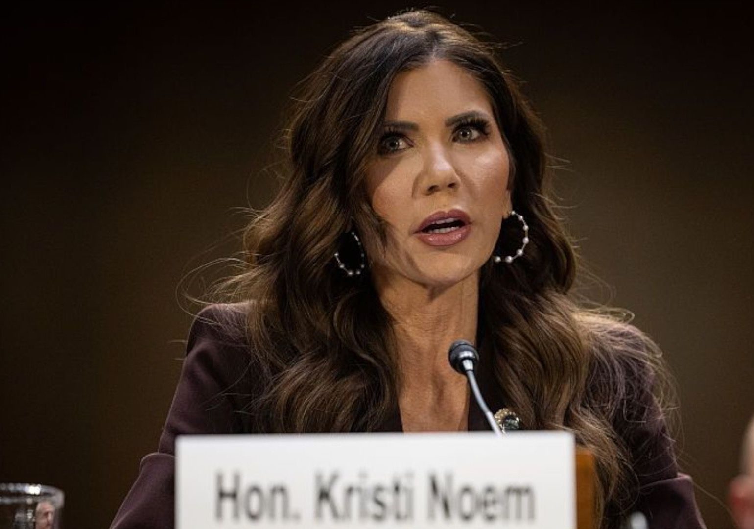 ტრამპმა ეროვნული უსაფრთხოების დეპარტამენტის მდივანი კრისტი ნოემი გაათავისუფლა