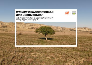 დაცული ტერიტორიები: 8 მარტივი წესი, რომლითაც ბუნებას იცავ