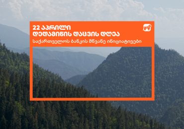საქართველოს ბანკი დედამიწის დღეს მწვანე ინიციატივებს აჯამებს