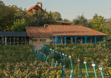 Wine Travel Awards: 2026 წელს ღვინის მოყვარულთათვის აუცილებლად სანახავი ადგილები