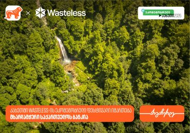 კახეთში Wasteless-ის ეკომეგობრული ფესტივალი იმართება - მხარდამჭერი საქართველოს ბანკია