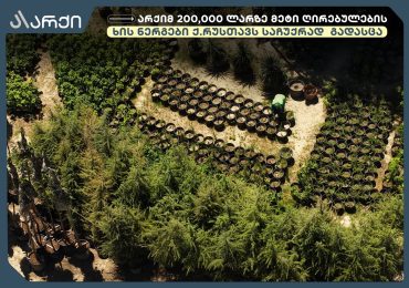 „არქიმ“ 200,000 ლარზე მეტი ღირებულების მარადმწვანე ხის ნერგები ქალაქ რუსთავს საჩუქრად გადასცა