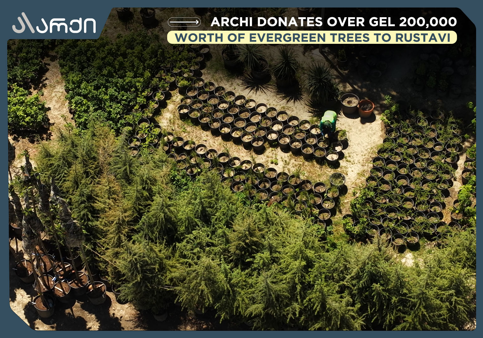 Archi Donates Over GEL 200,000 Worth of Evergreen Trees to Rustavi
