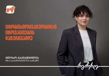 ცნობისმოყვარეობიდან ინოვაციების დანერგვამდე — ელისო პაპუაშვილის გზა საქართველოს ბანკში