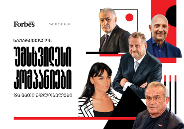 საქართველოს უმსხვილესი კომპანიები და მათი მფლობელები